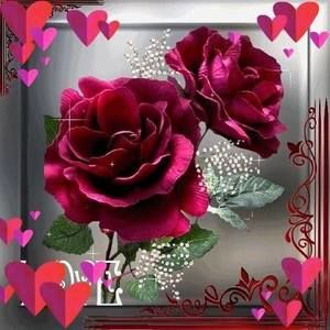 Meet your Posher, Adrian